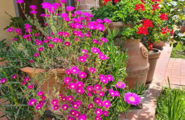 La Giravolta Loft URBAN & GEA - Foto 3