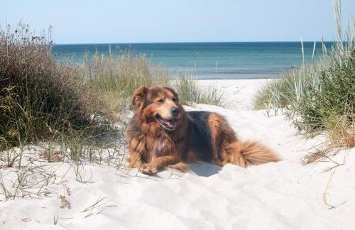 Meerblick Haushälfte - Foto 20