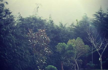 Casa da Portada - Foto 6