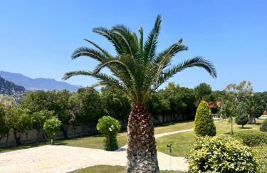 Psatha Villa's - Foto 24