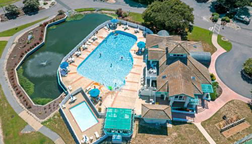 Tickled Pink - Foto 4