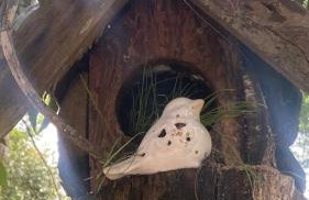 Casa de campo com muito verde e paz, 2 quartos, Wi-Fi, churrasqueira, deck, trilha - Foto 14