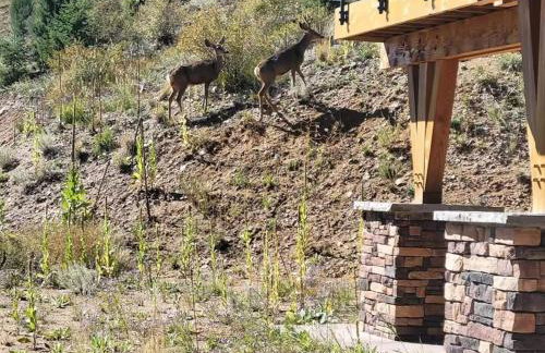 Hot Tub and Scenic Views at The Bailey Lodge - Foto 54