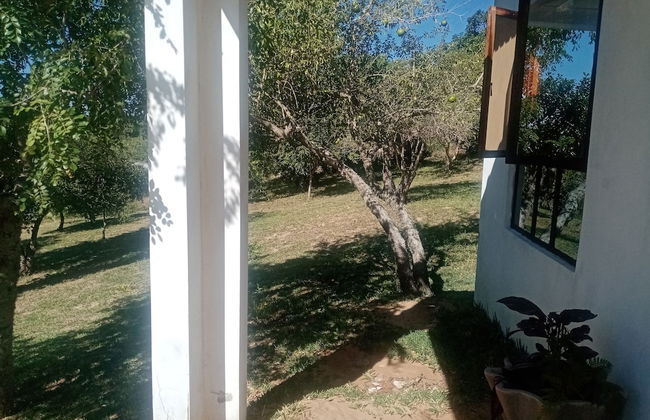 Restaurante Calor Tropical - Photo 63