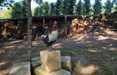 Casa da Cascalheira - Foto 56