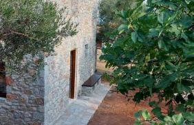 Studio Tsiliviani - Foto 18