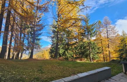 Moda Apartments G1 - Photo 13