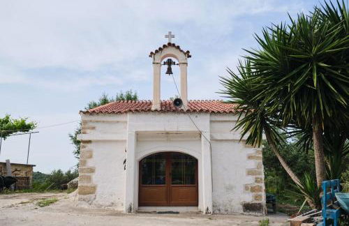 Studio Batilas - Foto 10