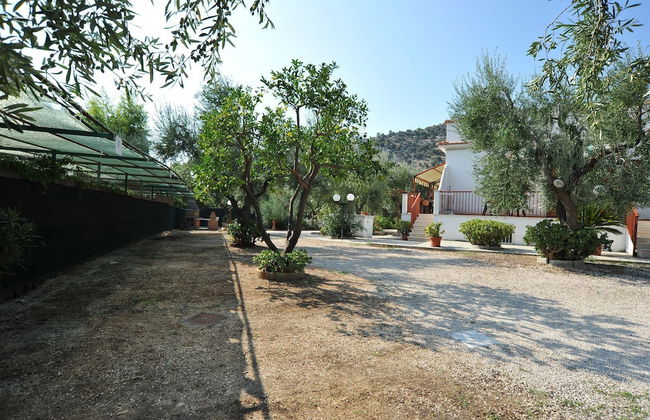 B&B Lido dei Pini - Photo 39