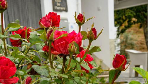 Casa do Ferreiro - Photo 1