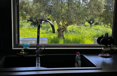 Elaiocampus luxury house - Foto 26