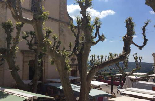 Hauts de st pierre belle terrasse Fayence - Foto 43