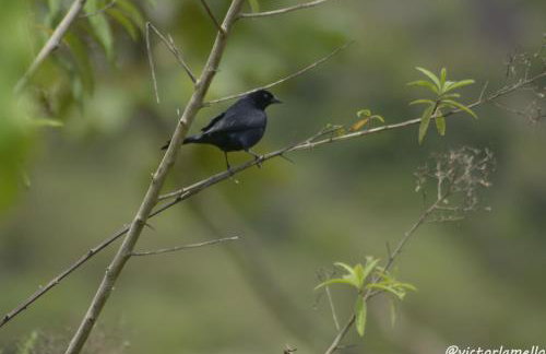 A Casinha Lumiar - Foto 38