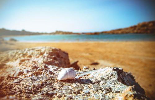 Ellafos Traditional Living-Elafonisi Couples Retreat - Foto 102