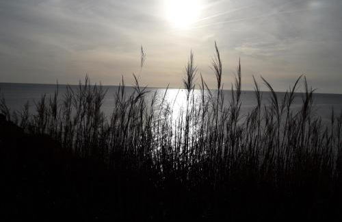 Au Phare Breton - Arzon - Port du Crouesty - Foto 39