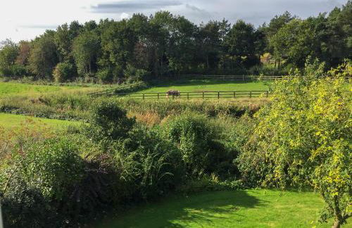 Orchard House - Photo 27