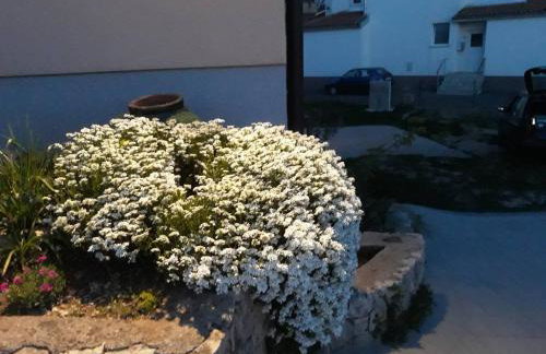 Apartment Viškovo - Photo 14