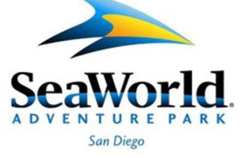 Shabby Chic Oceanside King & 2 Queen bed Pool GYM - Photo 33