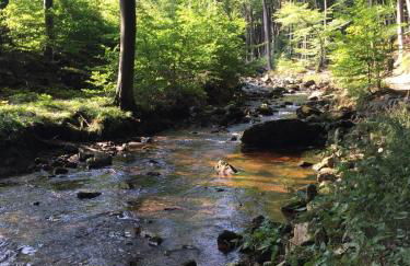 Ferienwohnung Osterwieck Mittelstraße 4 - Foto 35