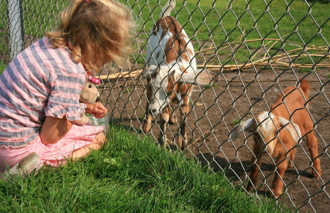 Family Retreat With Garden - Foto 12