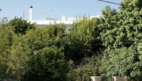 Giannakis' Filoxenia - Foto 4