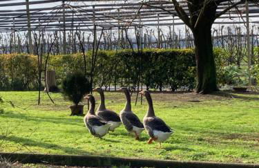 Agriturismo Fondo Novelle La Casina - Foto 46