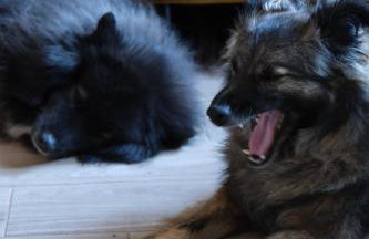 Domek ogrzewany pompą ciepła - Photo 16