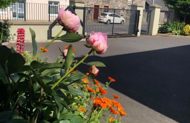 Bramley House-5 Star-located on the Dublin-Belfast corridor - Foto 43