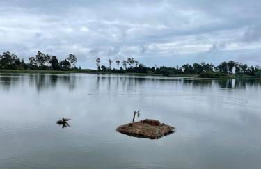 Moradia alegre no centro da Vila da Tocha. - Foto 46