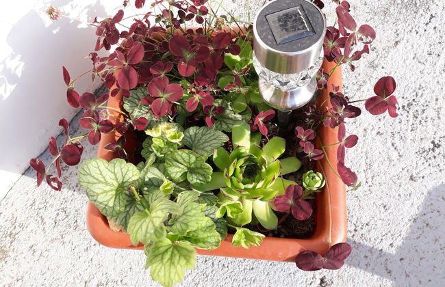 Bonini Apartments - Adults Only - Foto 41