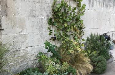 La Tranquillité proche Beauval et Châteaux de la Loire - Foto 20