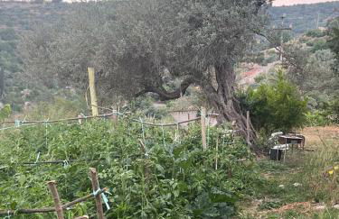 La Rosa dei Monti Iblei - Foto 35