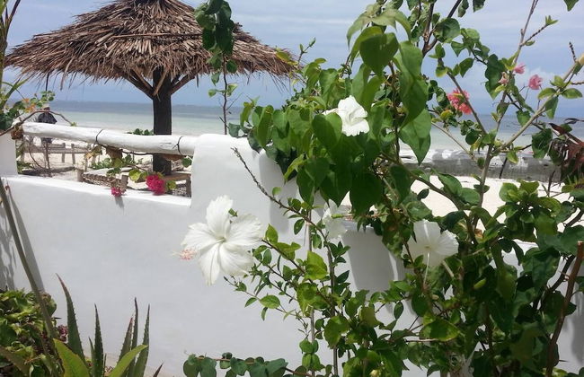 Villa - Right on the Beach, Under the Coconut Trees, Sleeps 10, Pool, Chef - Foto 23