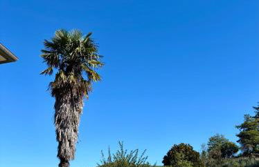 Agriturismo la Tana - Photo 14