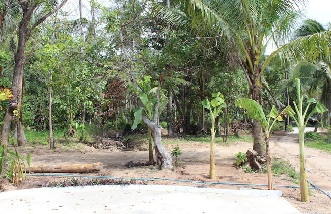 Phangan Green Village - Photo 16