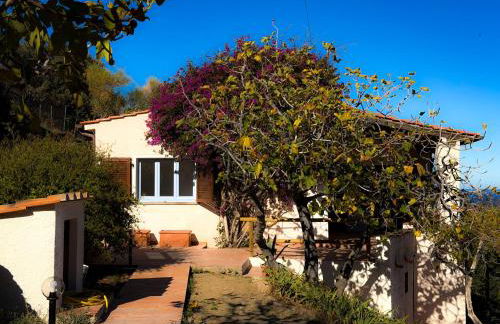 Villa Elena - HelloElba - Foto 34