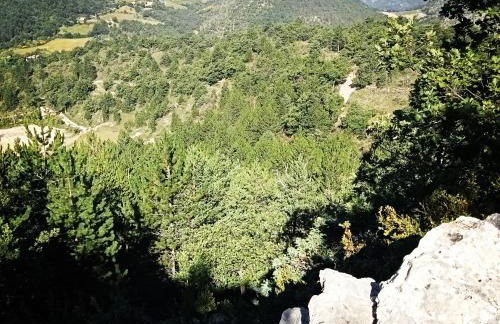 La Farigoule - Foto 6