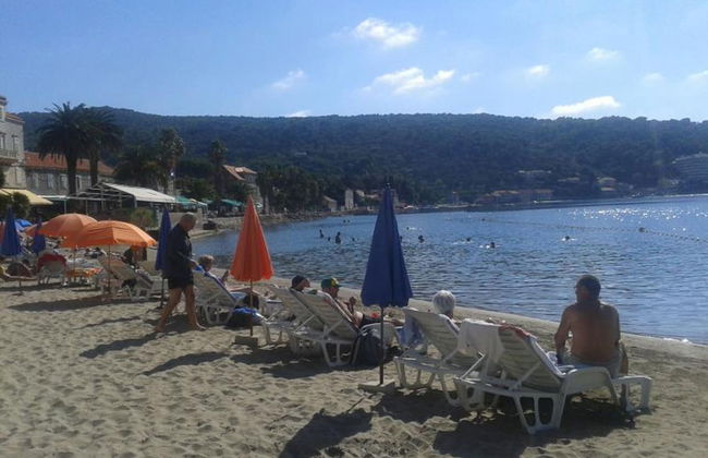 Apartment in Dubrovni With Garden - Foto 17