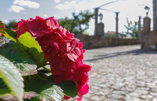 Quinta Soutelinho - Foto 42