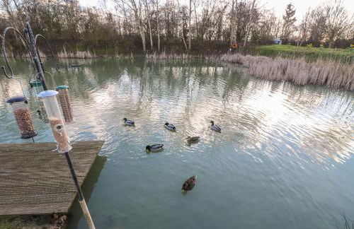 Stones Throw - Foto 25