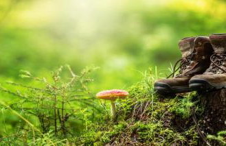 Ferienwohnung Abbey - Foto 13