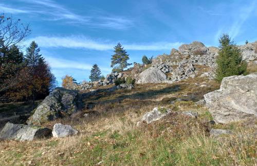 Schones Ferienhaus mit Grossem Garten bei Stadlern - Foto 68