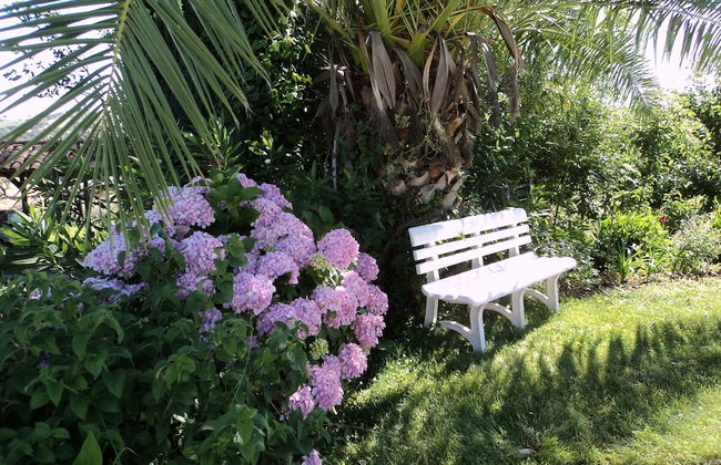 Quinta Retreat With Pool and Olive Grove - Foto 28