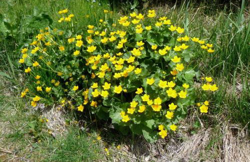 Garni Bonaria - Foto 51