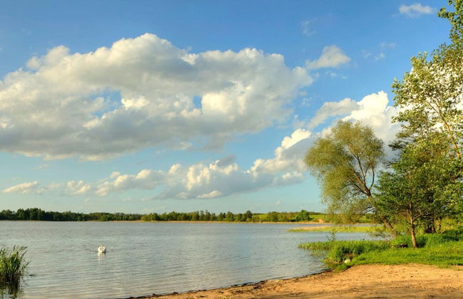 Apartment in Masuria With Private Pond - Foto 17