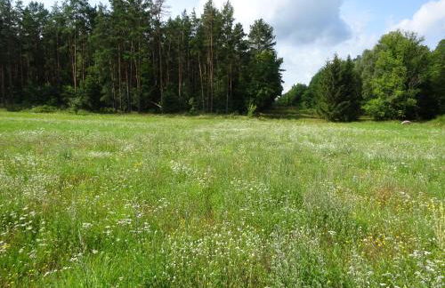 Ferienanlage Waschbär Country - Photo 54