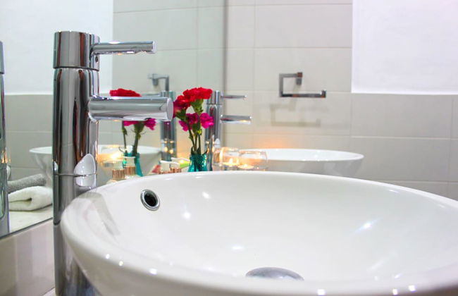 Maltese Maltese - Foto 45