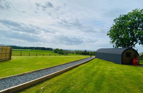 Dryfe Lodge - Foto 14