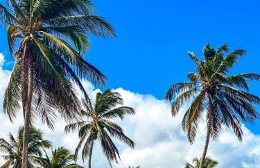 Pousada Beira dagua - Foto 8