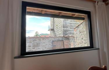 Le civette - Foto 30